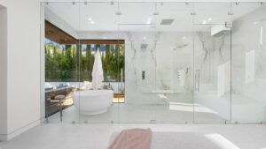 Frameless Shower Doors